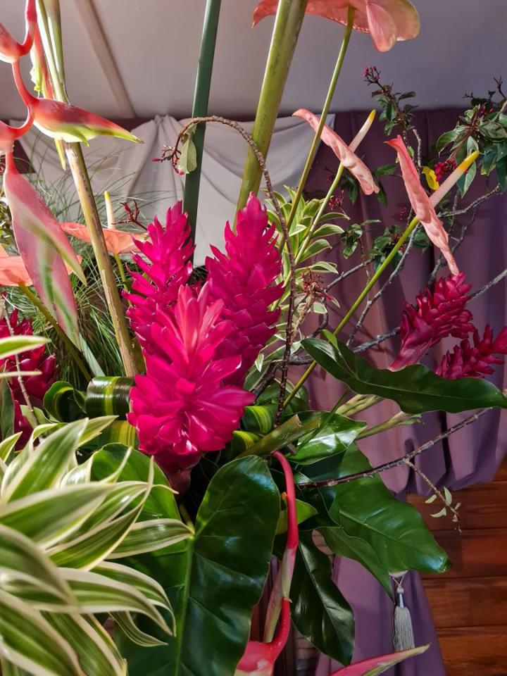 Organisation de crémation Martinique