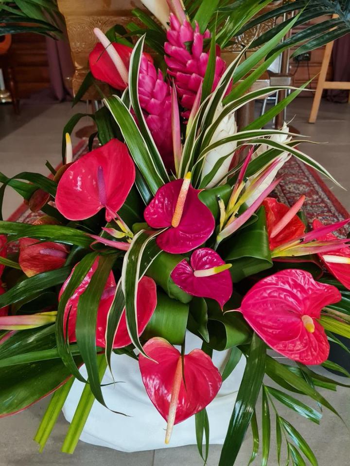 Organisation de crémation Martinique